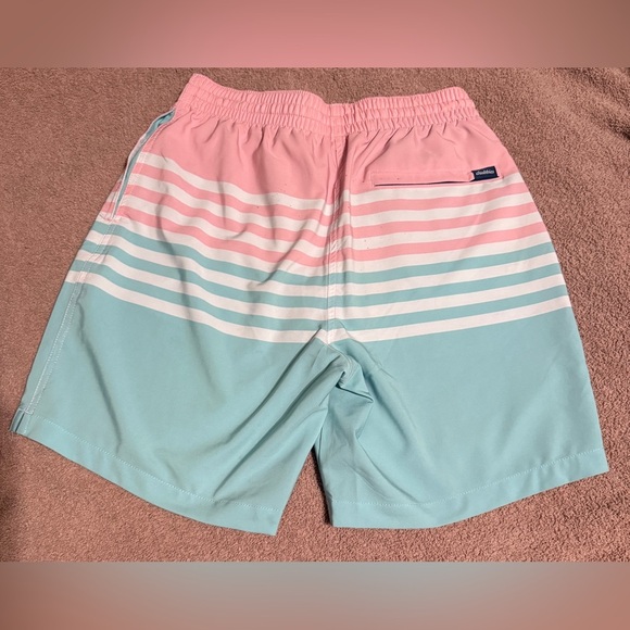 NWT Chubbies On the Horizons 5.5” Size XXL Lined Striped Blue Pink Swim Men - Picture 2 of 3